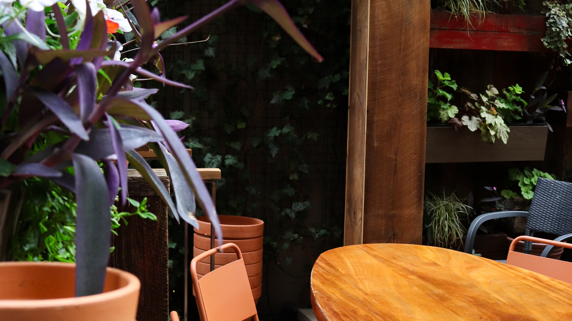 Cozy outdoor patio with wooden tables, orange chairs, green plants, and terracotta pots.
